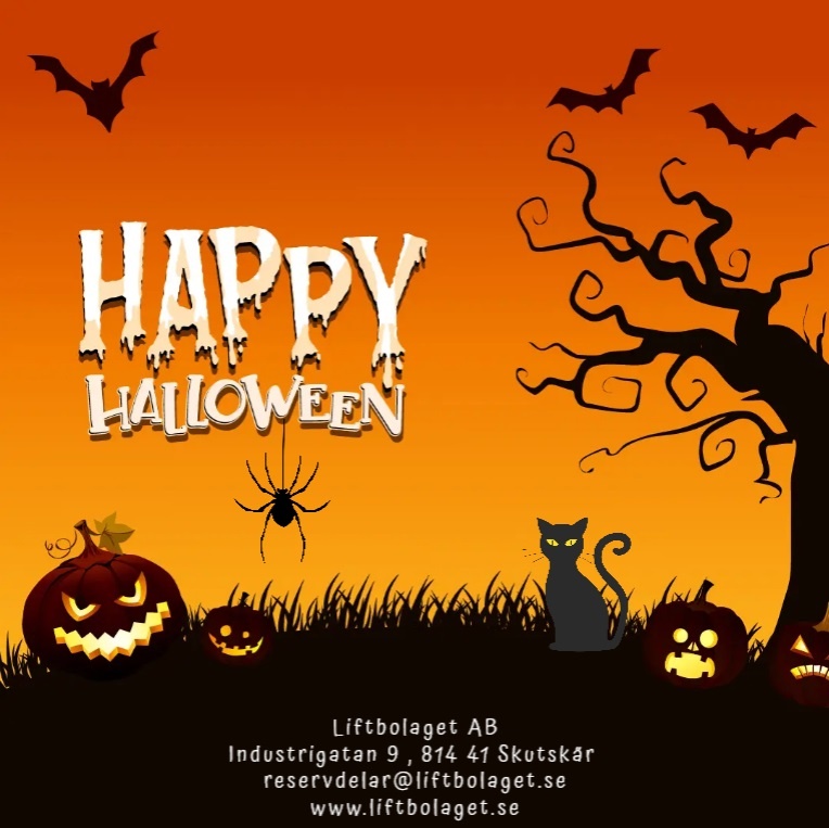 Skylift Denka Omme JLG Reservdelar Korgvridsmotor